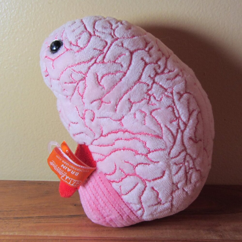 3 for $36 - plush about 6" brain giant microbes (W4919)